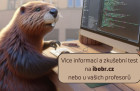 Obrázek k článku Bobřík informatiky