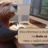 Obrázek k článku Bobřík informatiky